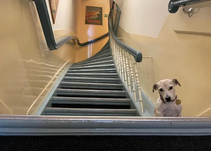 Hotel Museumzicht