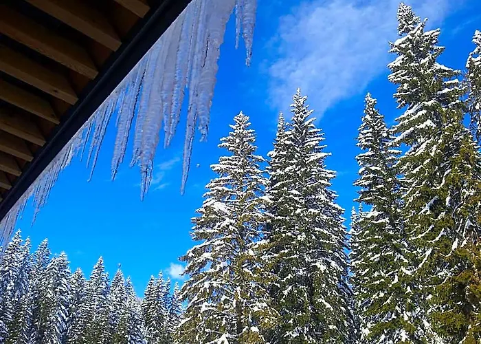 Hotel Jelka Pokljuka