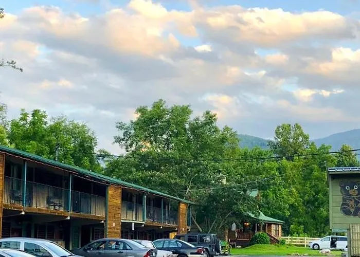 Cub Motel