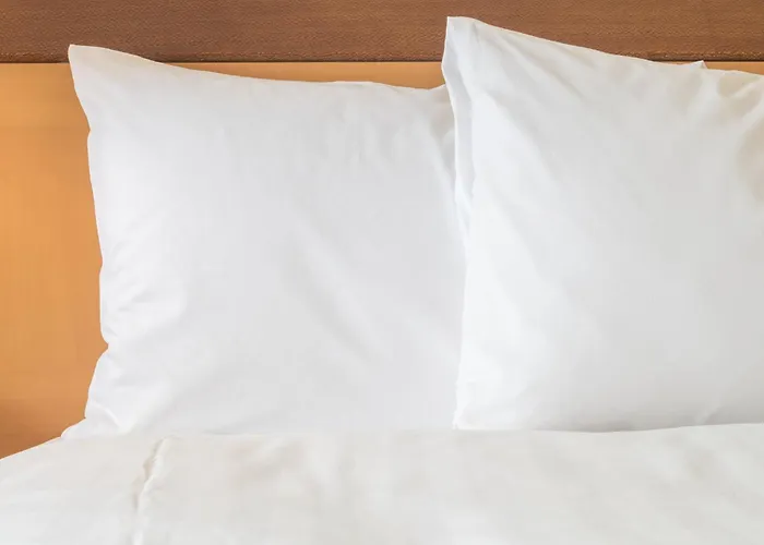 Holiday Inn Express Dallas Market Center By Ihg