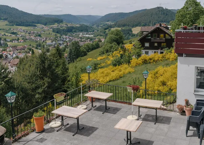 Gasthaus Talblick - Schwarzwald Plus Karte Inkludiert Baiersbronn