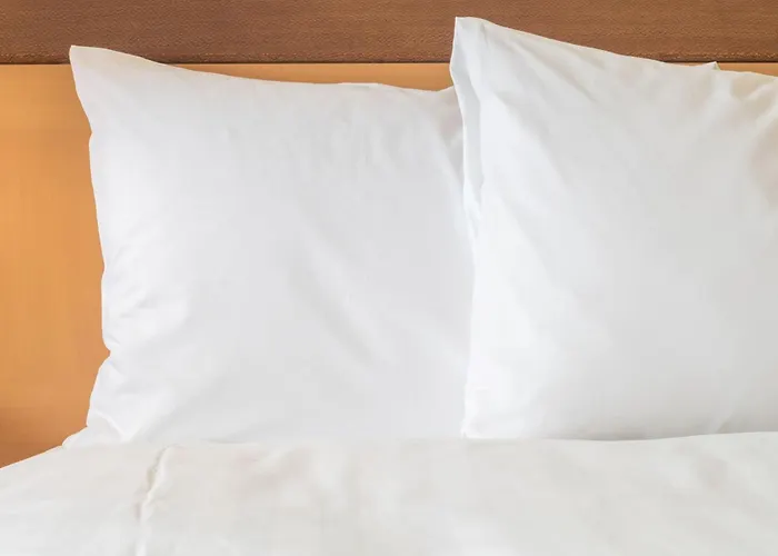 Garner Hotel Brockton - Boston By Ihg