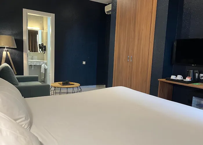 Hotel Aneto