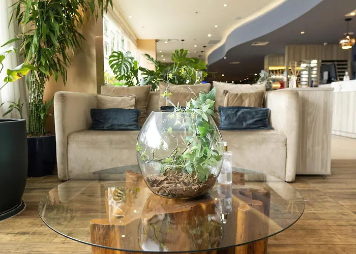 ibis Styles Curitiba Aeroporto