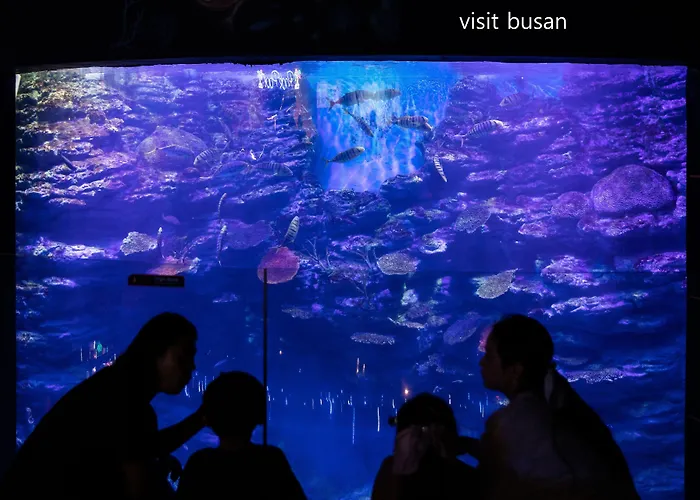 Best Louis Hamilton Hotel Haeundae