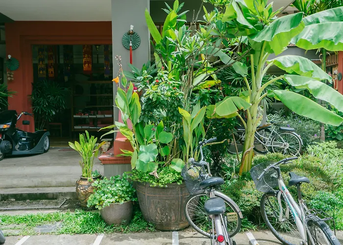 The Opium Chiang Mai
