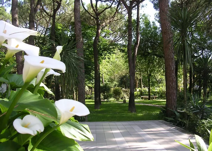 Hotel Valdor Cavallino-Treporti