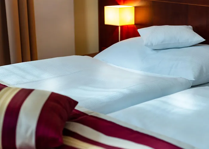 Hotel Petr Praag