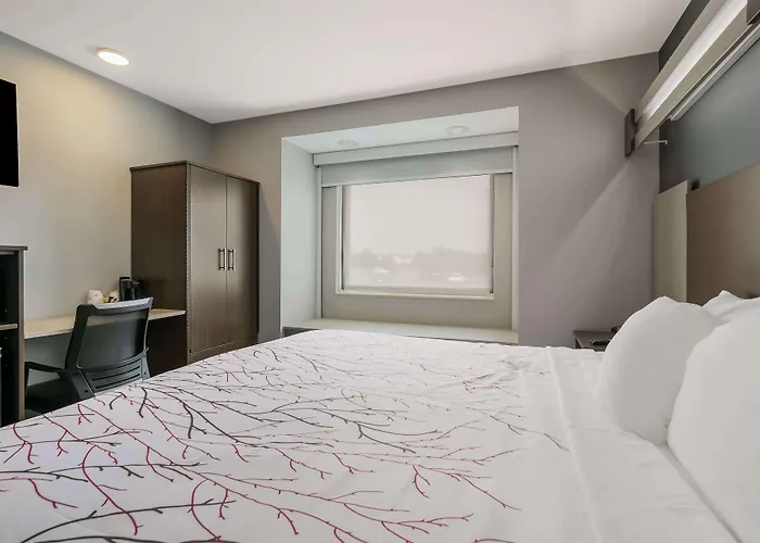 Surestay Plus Hotel By Best Western Sevierville