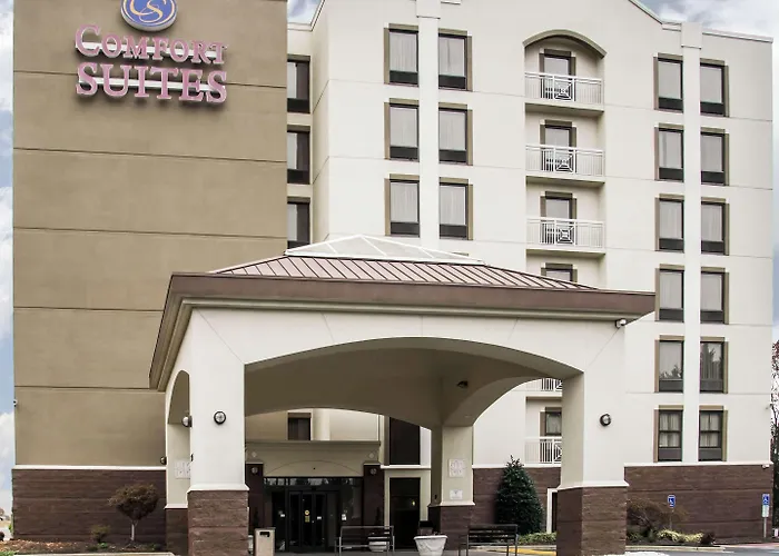 Comfort Suites University - Research Park Charlotte