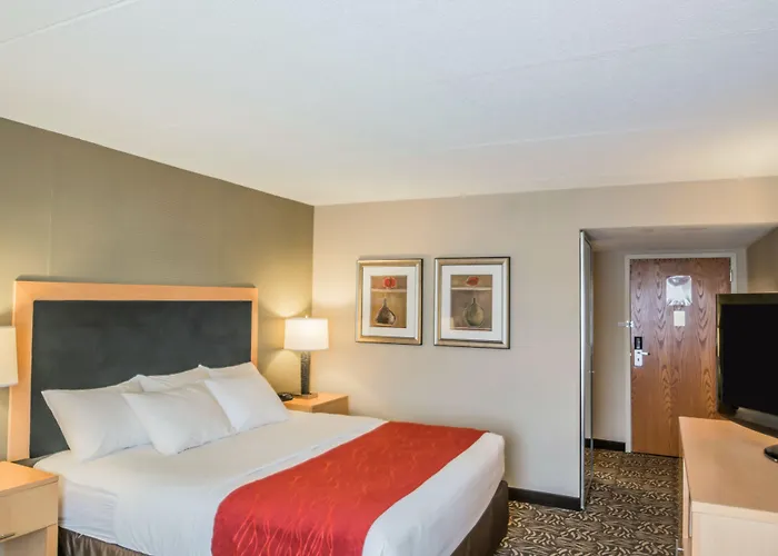 Comfort Inn - Nys Fairgrounds Warners