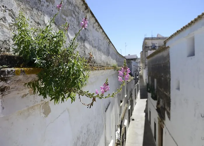 Casa Rural Las Cadenas del Cananeo Arcos de la Frontera