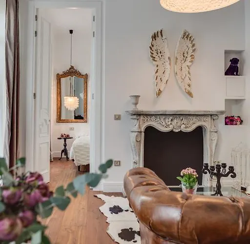 Purple Dog Suites León