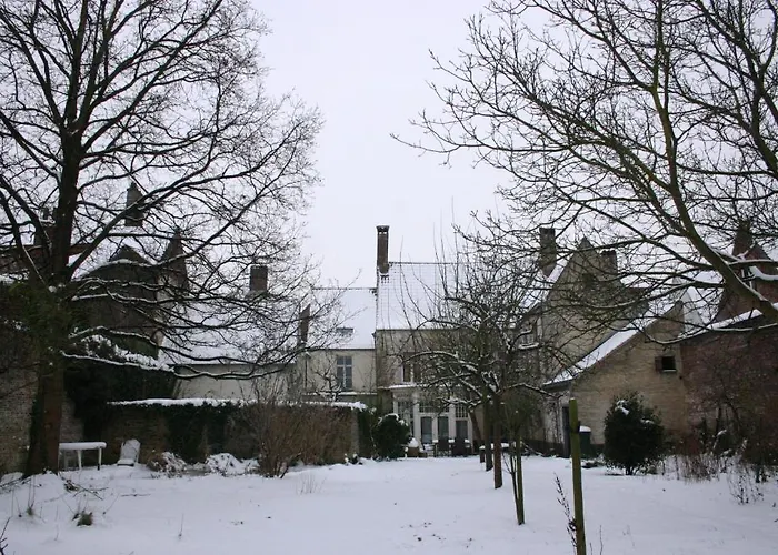 B&B De Sterre Bruges