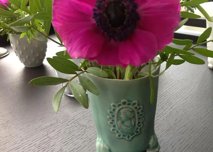 B&B Winterresidentie