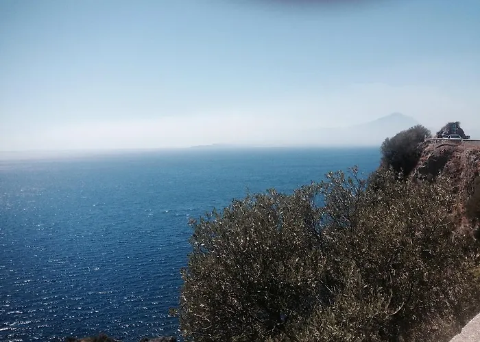 La Bouganville Sapri