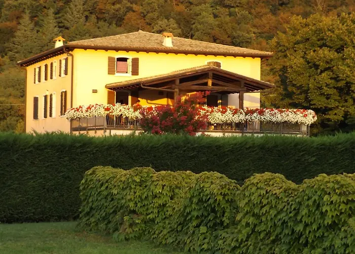Ca Vettor