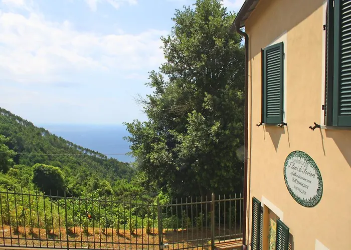I Lecci Di Soviore