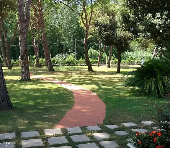 Hotel Alcione Marina di Massa