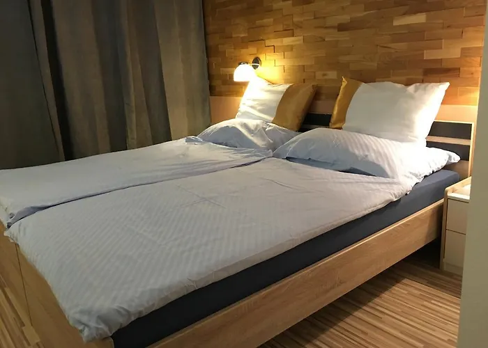 Hotel White Horse Basilea