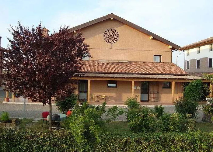 Oasi
