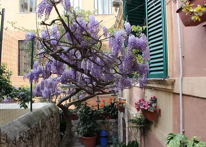 Hotel Pavia
