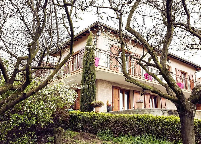 Chambre D'Hotes Des Lys Montbrison