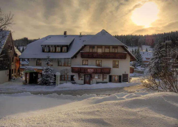Landhotel Und Apartments Sonneck Feldberg 