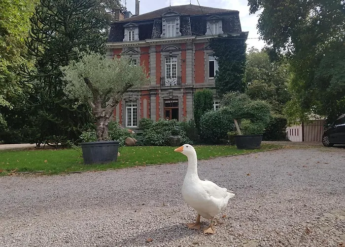 Chateau Lambert Moulinsart Hotel, Shuttle Airport, Long Term Parking, Snooker, Large Terrasse, Dinner, Breakfast Charleroi