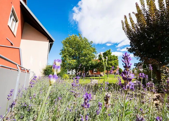 Hotel Loewen Garni - B&B