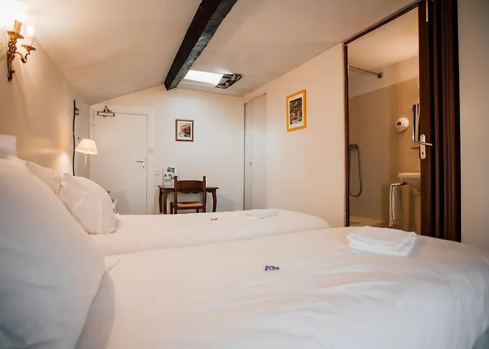 Logis Hotel Saint Clair Albi