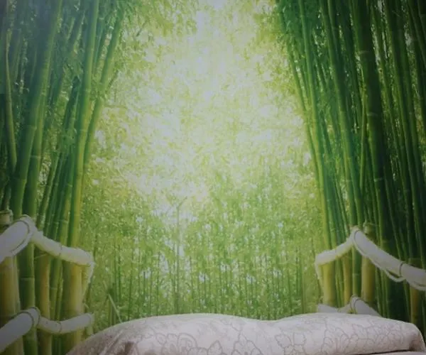 Bed and Breakfast La Casa Dell'Orso Ciampino
