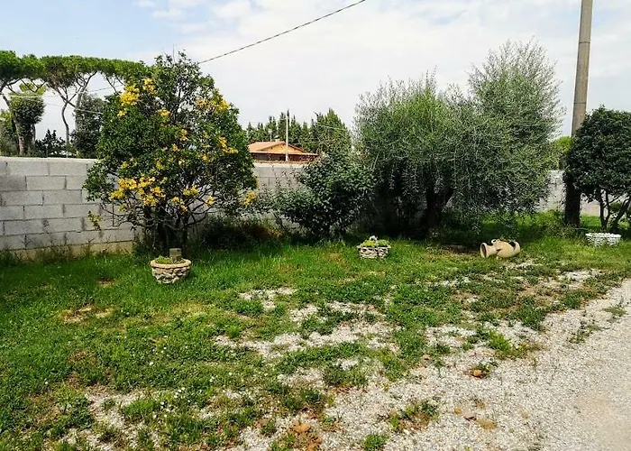 Hotel La California Marina Di Bibbona