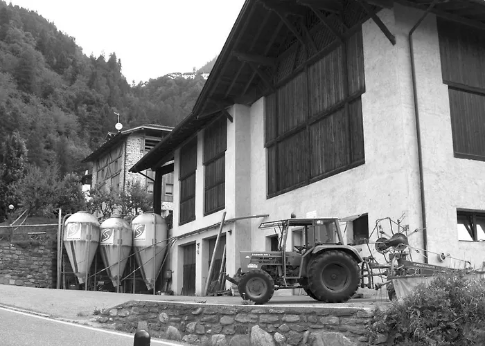 Agricampeggio Ai Gaggi Pellizzano