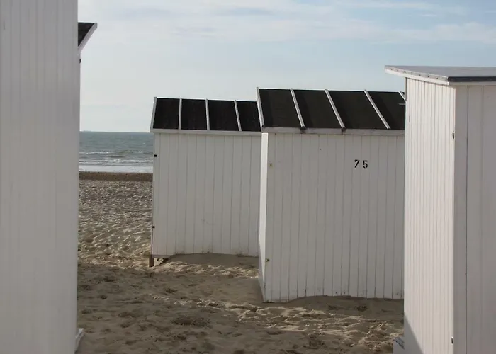Comfort Aan Zee Guestrooms
