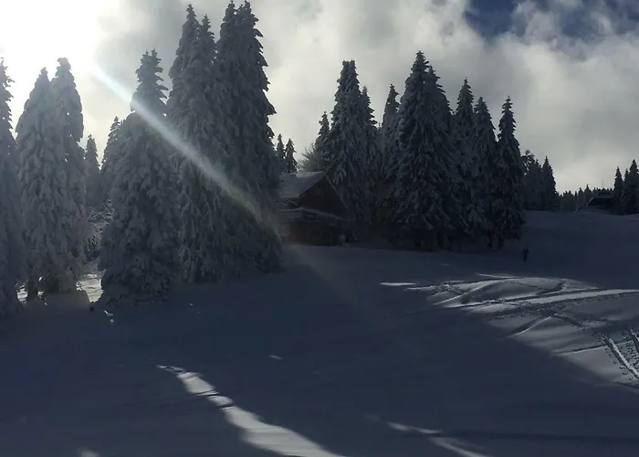 Auerhahn