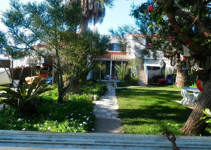 Casa Das Palmeiras