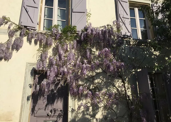 Lilas-Rose Figeac