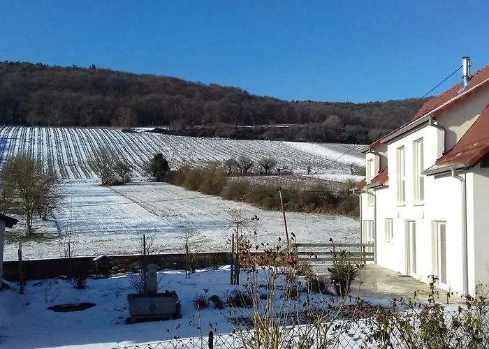 Bed and Breakfast Aux vignes à Wissembourg