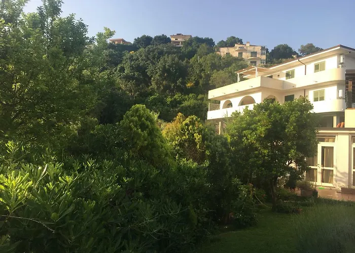 La Bouganville Sapri