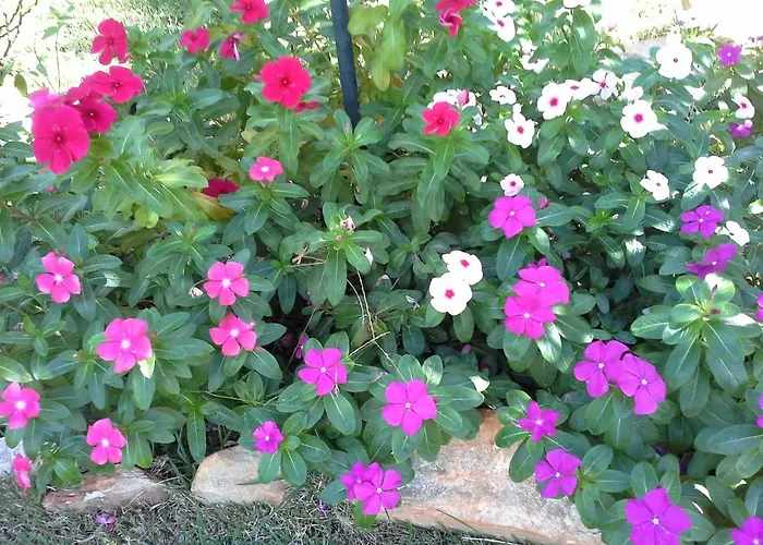 Pousada Luar do Cipó Serra do Cipo National Park