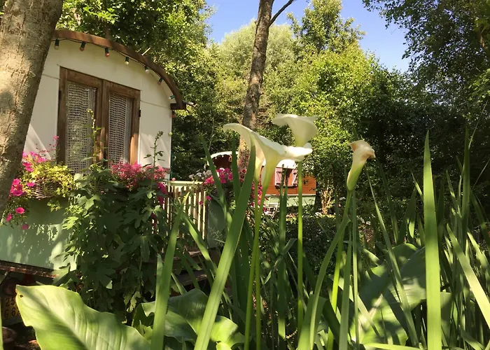 Bed and Breakfast Roulottes du Rouard à Camiers