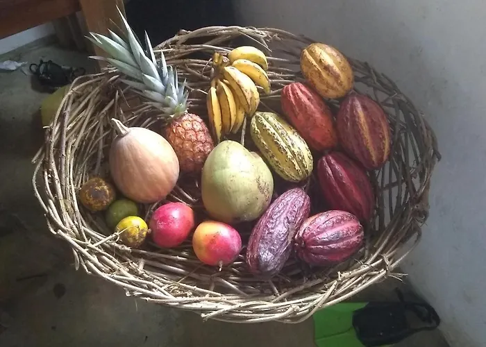 Orgânica-Mente B&B
