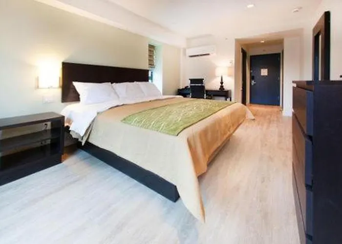 Comfort Inn & Suites - Kew Gardens Near La Guardia Airport New York